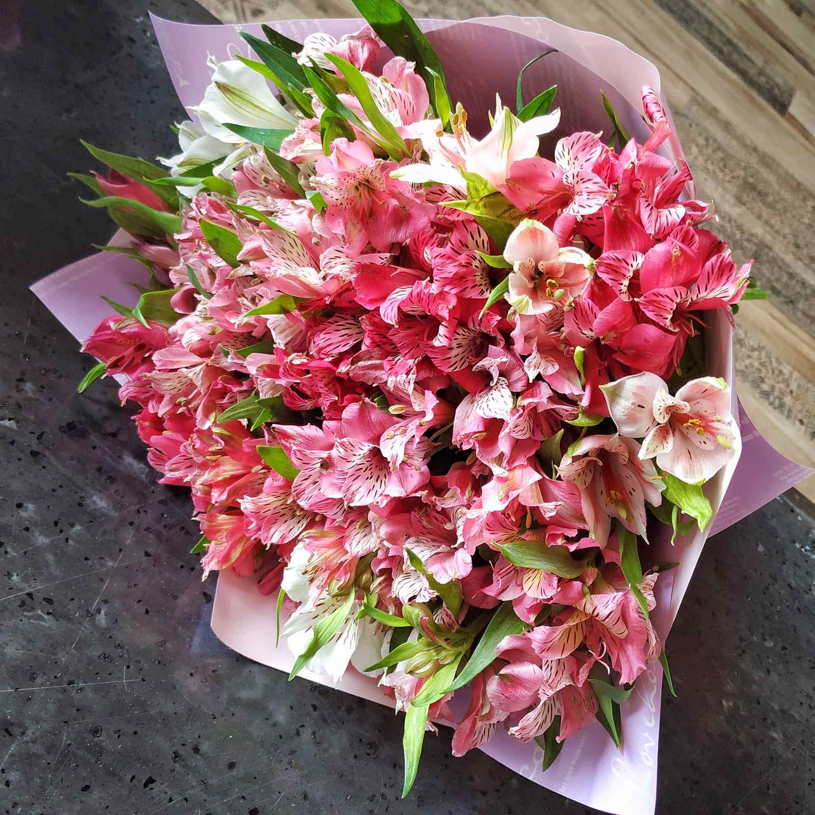 0-02-05-f0fc896df6845a0ed29fc2b04fe2bb748982746c16cca9d64f8d4c45246c755a_1c6d9bde26d1d5