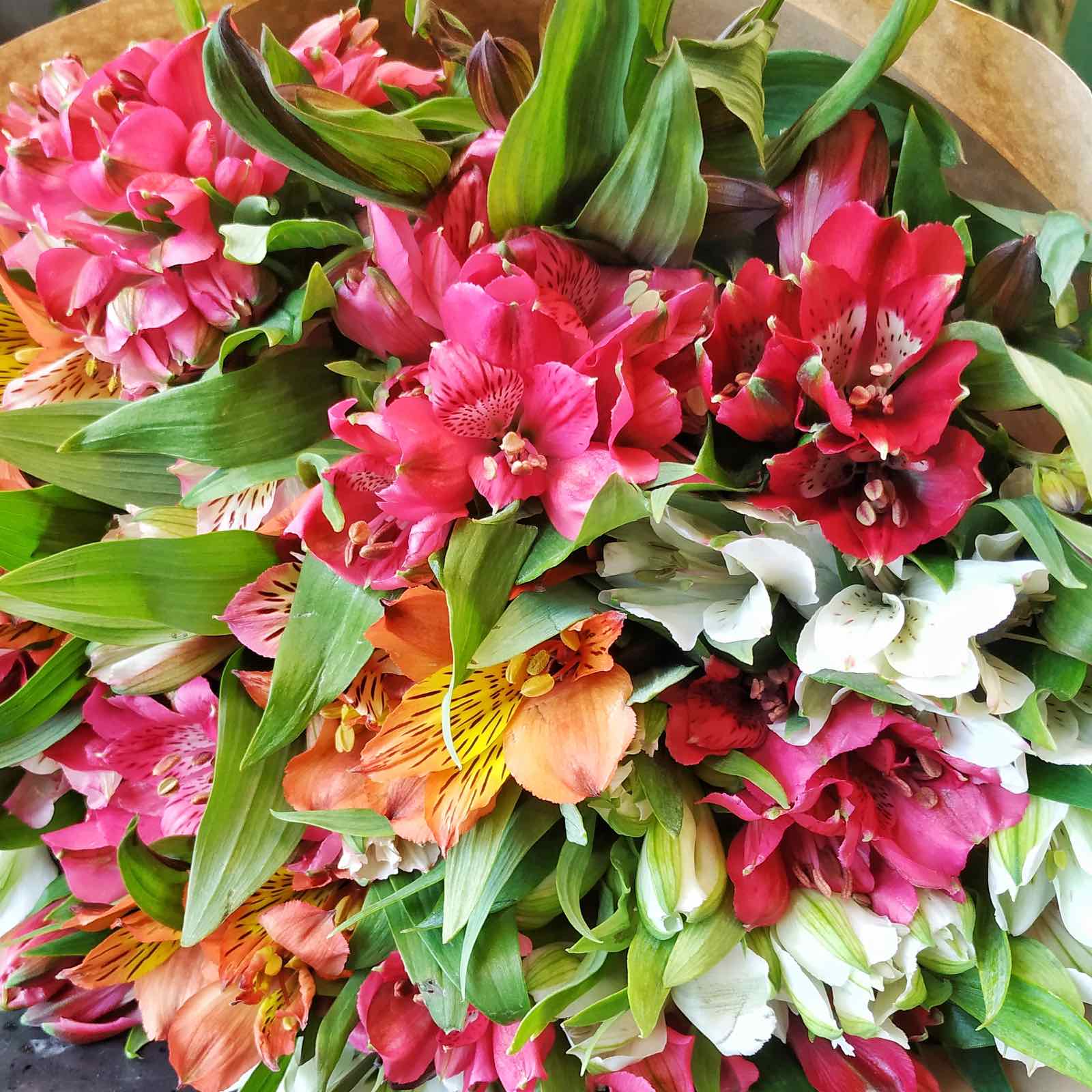 0-02-0a-fce6e13d816927ad1c4f73fc89ba397668fad2263bb43be8efea5d593247320a_1c6d9dcb362b1e