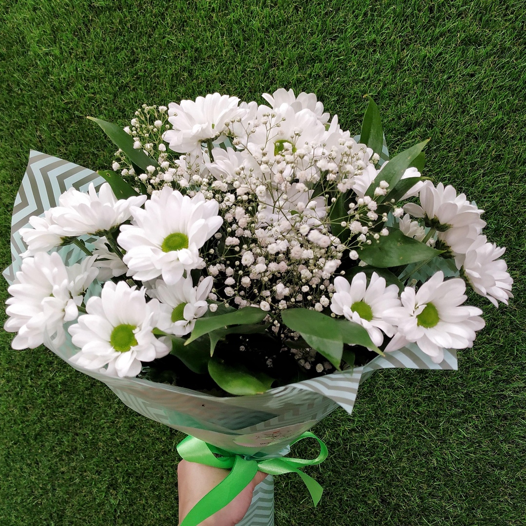 full_aa89fd22781a108fc9fea5f398eed45c