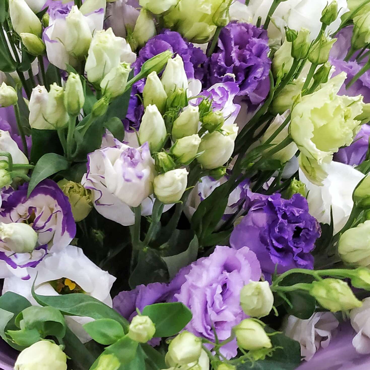 0-02-05-2d63a3b832f13727979866566a2324a7308f5ed139228b97e88360ea8177cfb0_1c6da0dfd28307